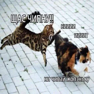 Sticker @sexstikkers - 4