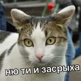 Sticker @sexstikkers - 5