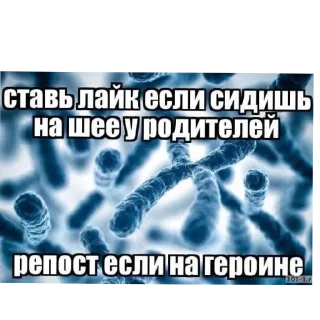 Стикер Больше стиков тут: @stikery4 - 2