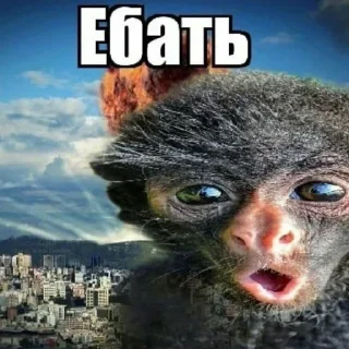 Стикер Больше стикеров 👉🏻 @stickertg4 - 8