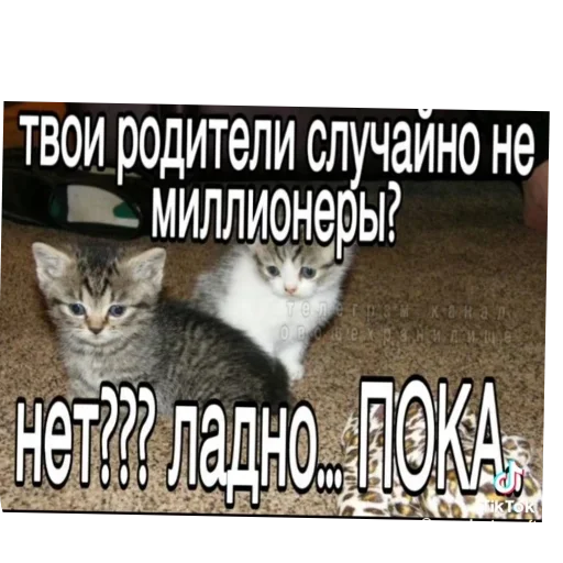 Больше стиков тут: @stikery4 - 