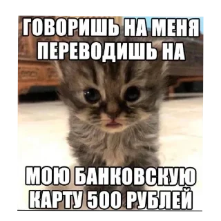 Sticker Больше стиков тут: @stikery4 - 3