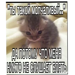 Sticker Больше стиков тут: @stikery4 - 6