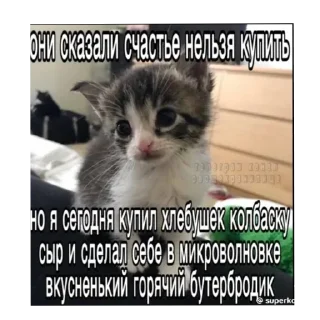Sticker Больше стиков тут: @stikery4 - 7