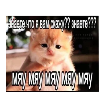 Sticker Больше стиков тут: @stikery4 - 5