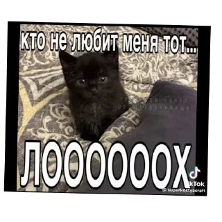 Sticker Больше стиков тут: @stikery4 - 1