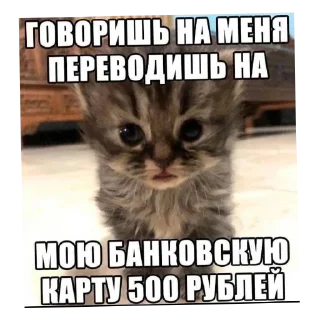 Sticker Больше стиков тут: @stikery4 - 8
