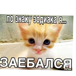 Sticker Больше стиков тут: @stikery4 - 4