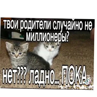 Sticker Больше стиков тут: @stikery4 - 9