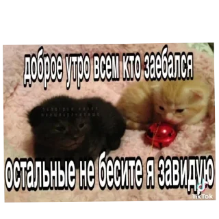 Sticker Больше стиков тут: @stikery4 - 2