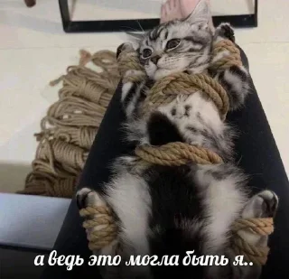 Sticker Больше стикеров 👉🏻 @stickertg4 - 7