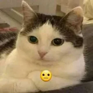 Sticker Больше стиков тут: @stikery4 - 0