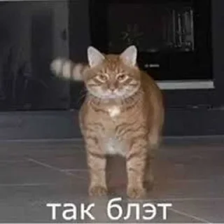 Sticker Больше стиков тут: @stikery4 - 2