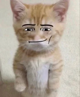 Sticker @stikerk877 - 4