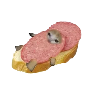 Sticker @stikerk877 - 10