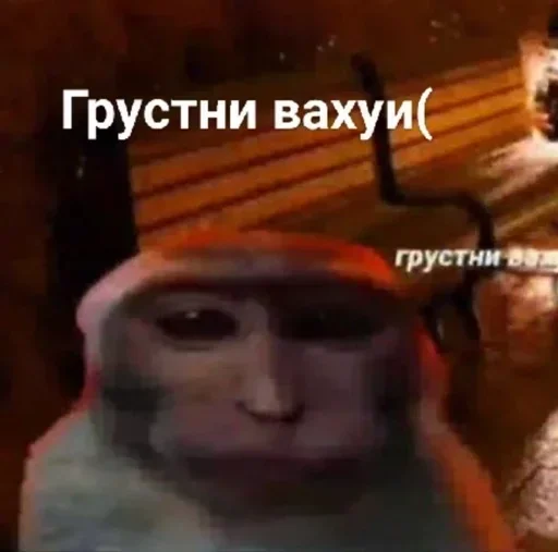 Стикер gYDJvroI_by_stickers_stealer_bot - 1