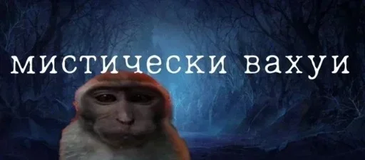 Стикер gYDJvroI_by_stickers_stealer_bot - 1