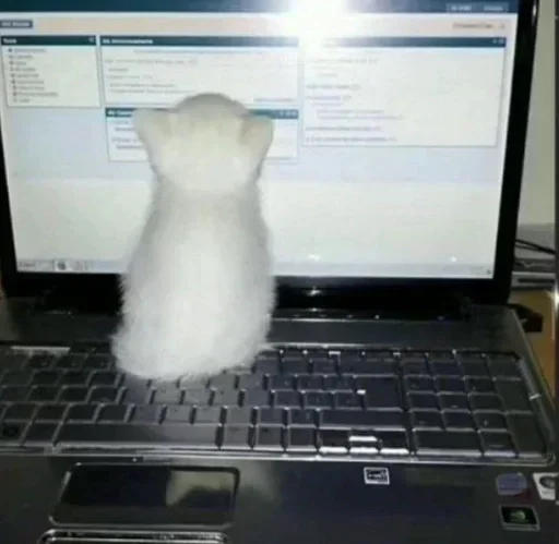 Sticker gYDJvroI_by_stickers_stealer_bot - 1