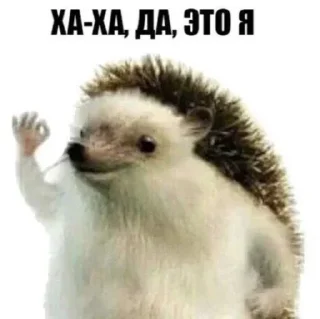 Стикер @sekstick - 7