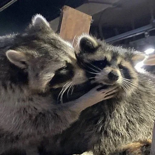 Sticker gZSuEpHcxD_by_WmojiBot - 1