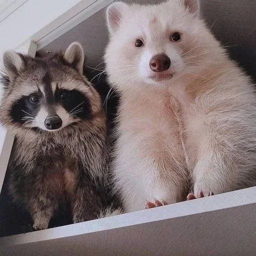 Стикер gZSuEpHcxD_by_WmojiBot - 1