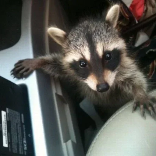 Sticker gZSuEpHcxD_by_WmojiBot - 1