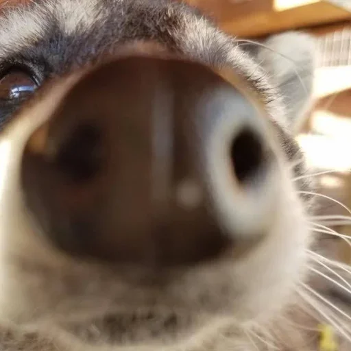 Стикер gZSuEpHcxD_by_WmojiBot - 1