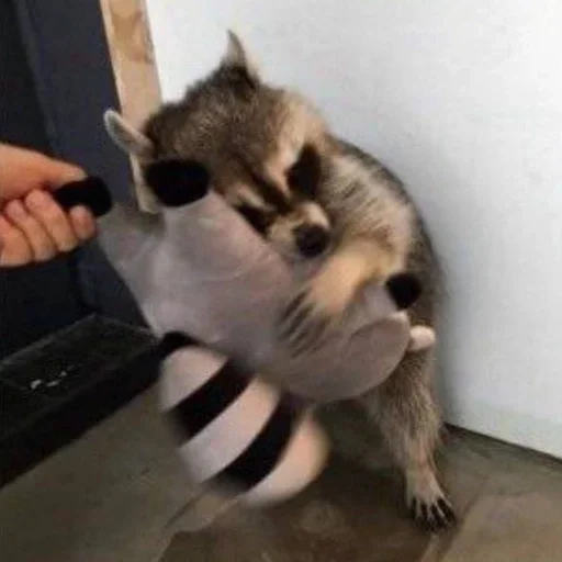 Sticker gZSuEpHcxD_by_WmojiBot - 1