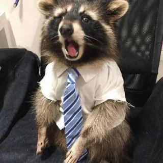 Стикер Стикеры тут 👉 @Femoji - 3