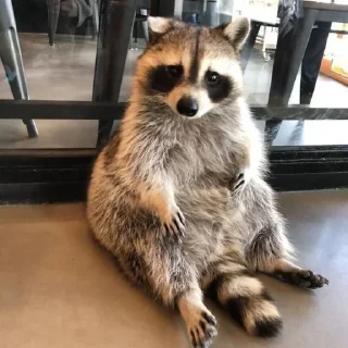 Стикер Стикеры тут 👉 @Femoji - 2