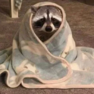 Стикер Стикеры тут 👉 @Femoji - 1