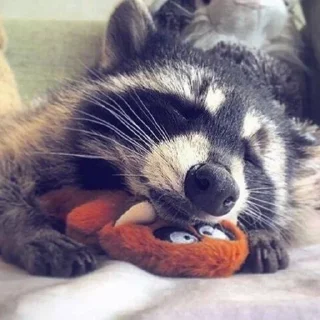 Стикер Стикеры тут 👉 @Femoji - 6