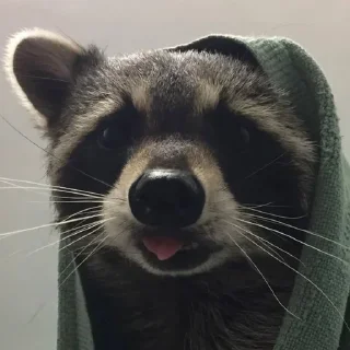 Стикер Стикеры тут 👉 @Femoji - 5