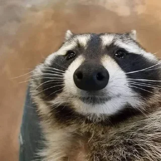 Стикер Стикеры тут 👉 @Femoji - 7