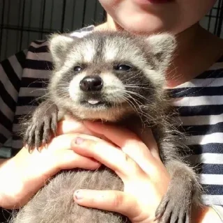 Стикер Стикеры тут 👉 @Femoji - 0