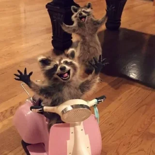 Стикер Стикеры тут 👉 @Femoji - 9