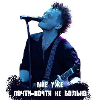 Sticker Мои эдельвейсы - 0