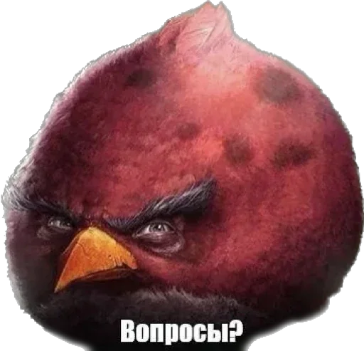 Стикер galuptsovski - 1