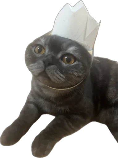 Стикер galuptsovski - 1