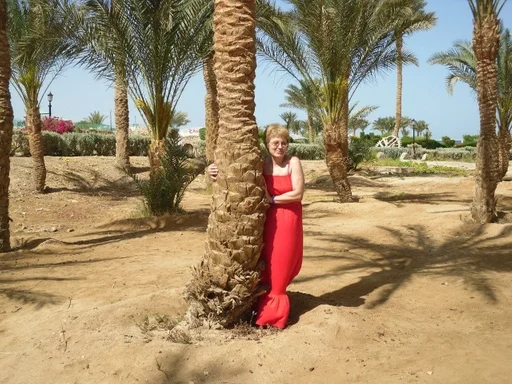 Стикер училочки :: @fStikBot - 3