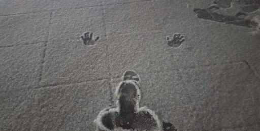 ground footwear shadow