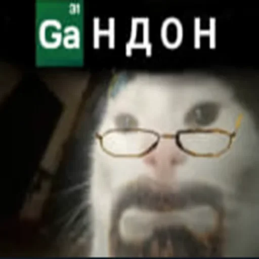 text glasses screenshot