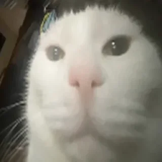 Стикер Gandon(@dimutiks) - 11