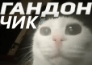 Sticker Коллекция Гандончиков - 11