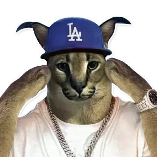 Sticker Gang gang - 2