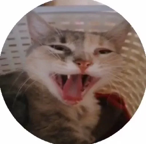 Sticker garbagemeow - 1