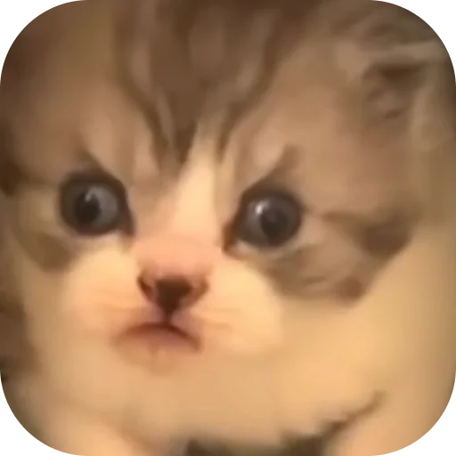 Sticker garniocats - 1