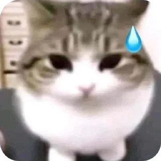 Стикер @sharnio - 3