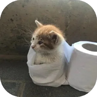 Стикер @sharnio - 4