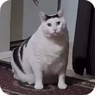 Стикер @sharnio - 2